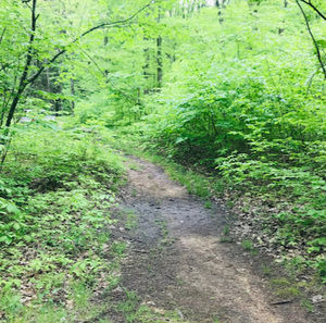 Meet your Posher, Tanner